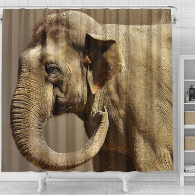 BigProStore Elephant Bathroom Decor Asian Elephant Sand Bath Bathroom Sets Shower Curtain / Small (165x180cm | 65x72in) Shower Curtain
