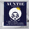 BigProStore Awesome Natural Hair Auntie Like A Mom But So Much Cooler African American Art Shower Curtains African Bathroom Accessories BPS181 Small (165x180cm | 65x72in) Shower Curtain
