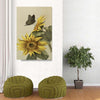 BigProStore Sunflower Canvas And Prints Sunshine Flower In The Wild Wall Decor Canvas / 32" x 48" Canvas