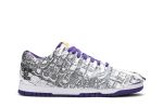 Nike Dunk Low ‚Flip The Old School‘ DJ4636-100 Wabasta store