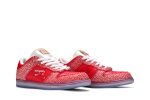 Nike SB Dunk Low x Stingwater ‚Magic Mushroom‘ DH7650-600 Wabasta store
