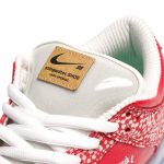 Nike SB Dunk Low x Stingwater ‚Magic Mushroom‘ DH7650-600 Wabasta store