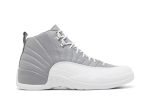 Air Jordan 12 ‘Stealth’ CT8013-015