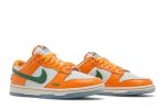 Florida A&M University x Nike Dunk Low ‘We Bragg Different’ DR6188-800