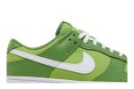 Nike Dunk Low Retro ‘Chlorophyll’ DJ6188-300  Wabasta store