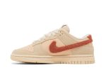 Nike Dunk Low ‘Terry Swoosh’ DZ4706-200  Wabasta store